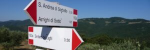 Directions: trail signs in the Italian countryside